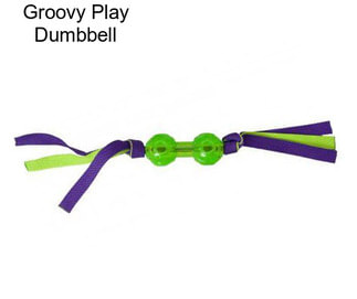 Groovy Play Dumbbell