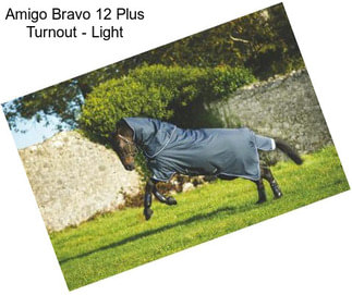 Amigo Bravo 12 Plus Turnout - Light