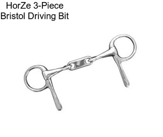 HorZe 3-Piece Bristol Driving Bit