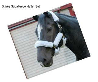 Shires Supafleece Halter Set