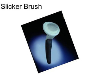 Slicker Brush