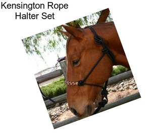 Kensington Rope Halter Set