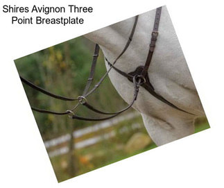 Shires Avignon Three Point Breastplate