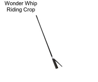 Wonder Whip Riding Crop