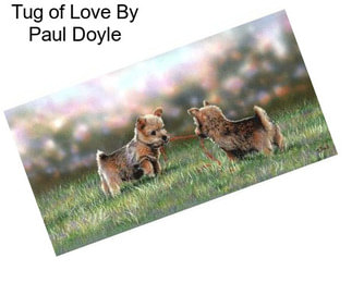 Tug of Love By Paul Doyle