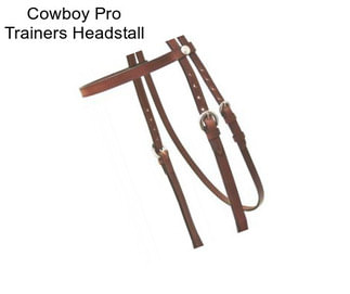 Cowboy Pro Trainers Headstall