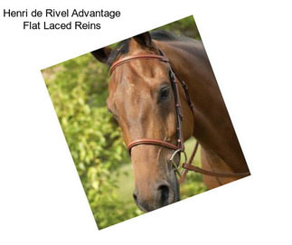 Henri de Rivel Advantage Flat Laced Reins