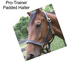 Pro-Trainer Padded Halter