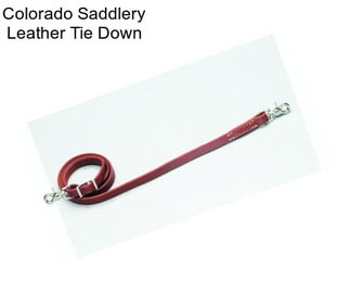 Colorado Saddlery Leather Tie Down