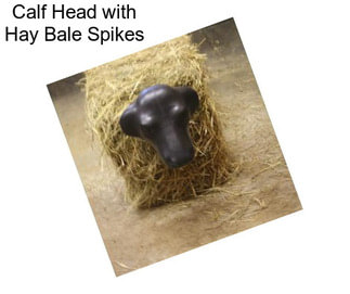 Calf Head with Hay Bale Spikes