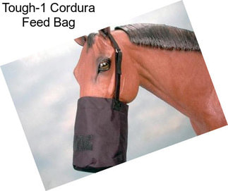 Tough-1 Cordura Feed Bag