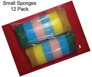 Small Sponges 12 Pack