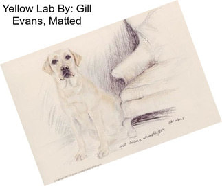 Yellow Lab By: Gill Evans, Matted