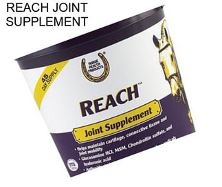 REACH JOINT SUPPLEMENT