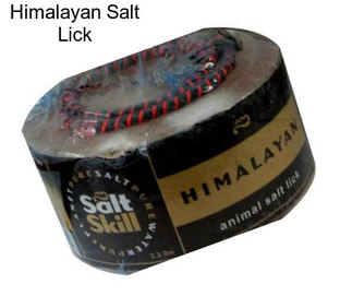 Himalayan Salt Lick