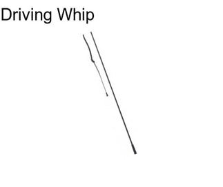 Driving Whip