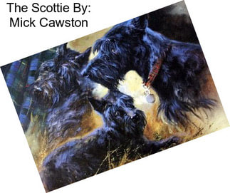 The Scottie By: Mick Cawston
