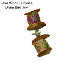 Java Wood Surprise Drum Bird Toy