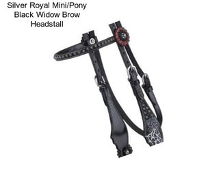 Silver Royal Mini/Pony Black Widow Brow Headstall