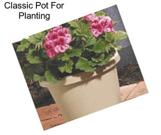 Classic Pot For Planting