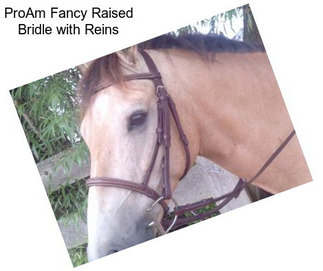 ProAm Fancy Raised Bridle with Reins