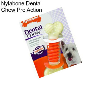 Nylabone Dental Chew Pro Action