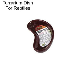 Terrarium Dish For Reptiles