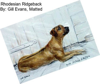 Rhodesian Ridgeback By: Gill Evans, Matted