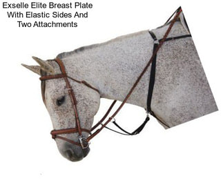 Exselle Elite Breast Plate With Elastic Sides And Two Attachments