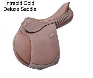 Intrepid Gold Deluxe Saddle