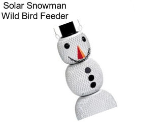 Solar Snowman Wild Bird Feeder