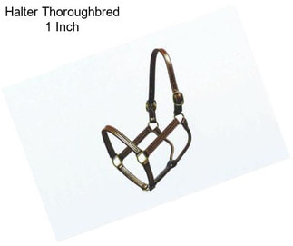 Halter Thoroughbred 1 Inch