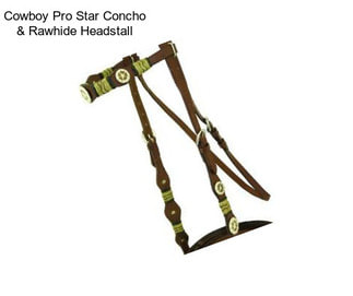 Cowboy Pro Star Concho & Rawhide Headstall