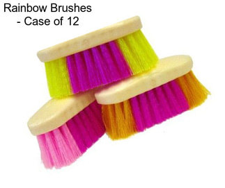 Rainbow Brushes - Case of 12