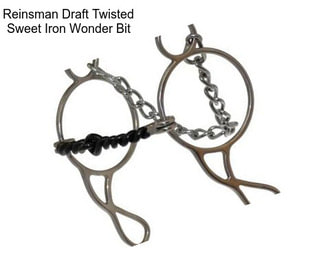 Reinsman Draft Twisted Sweet Iron Wonder Bit