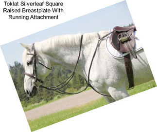 Toklat Silverleaf Square Raised Breastplate With Running Attachment