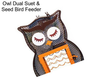 Owl Dual Suet & Seed Bird Feeder
