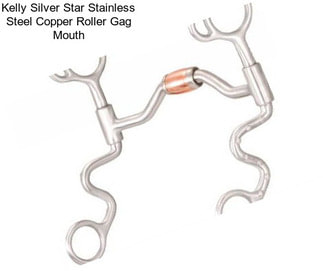 Kelly Silver Star Stainless Steel Copper Roller Gag Mouth