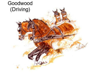 Goodwood (Driving)