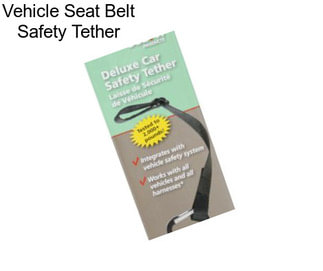 Vehicle Seat Belt Safety Tether