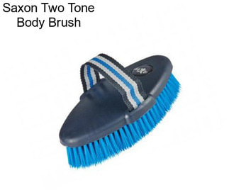 Saxon Two Tone Body Brush