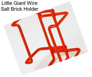 Little Giant Wire Salt Brick Holder