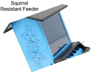 Squirrel Resistant Feeder