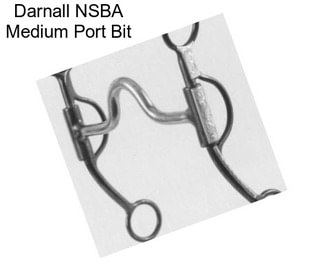 Darnall NSBA Medium Port Bit