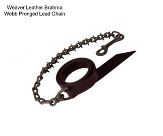 Weaver Leather Brahma Webb Pronged Lead Chain