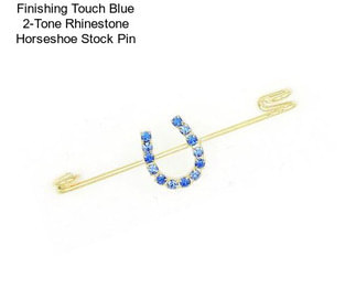 Finishing Touch Blue 2-Tone Rhinestone Horseshoe Stock Pin