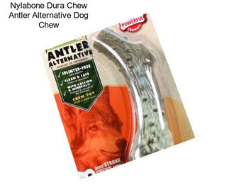 Nylabone Dura Chew Antler Alternative Dog Chew