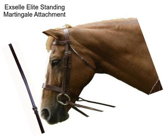 Exselle Elite Standing Martingale Attachment