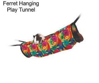 Ferret Hanging Play Tunnel