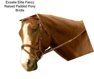 Exselle Elite Fancy Raised Padded Pony Bridle